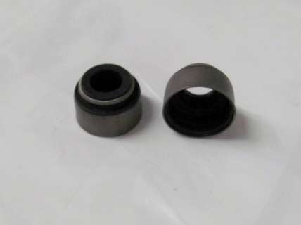 Exhaust Valve Seal