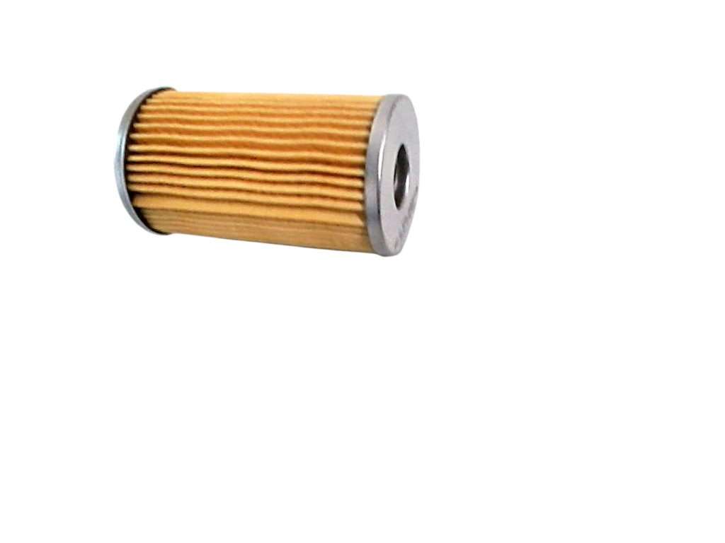 Fuel Filter / Element